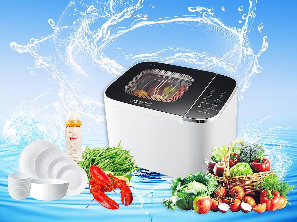 Tổng quan về máy rửa thực phẩm