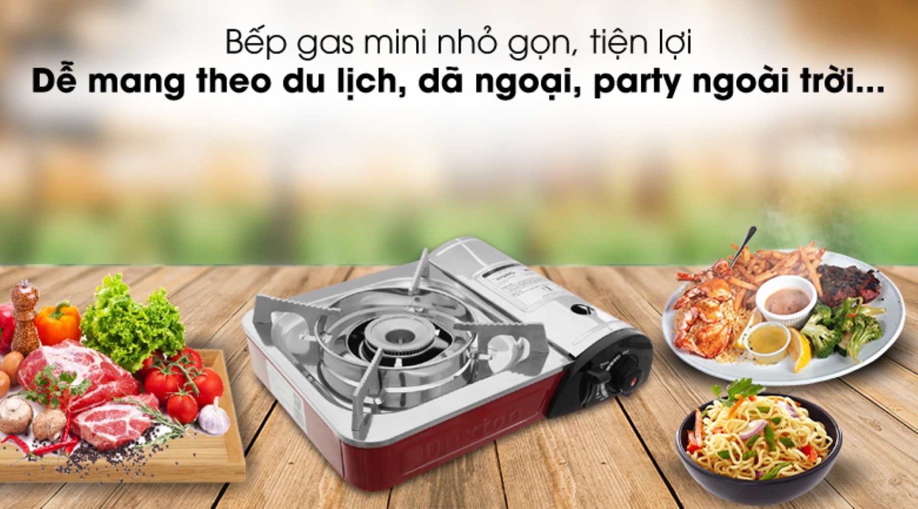 Bếp ga mini Duxton DG-290 kích thước nhỏ gọn, tiện lợi