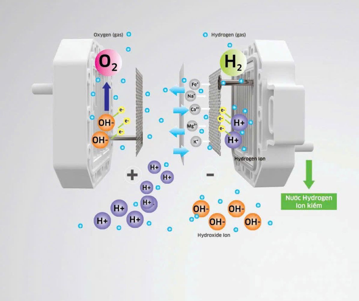 Kết hợp RO và điện phân, tạo nước ion kiềm Hydrogen tiện lợi