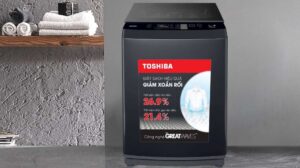 Máy giặt Toshiba Inverter AW-DK1000FV(KK) 9.0 kg