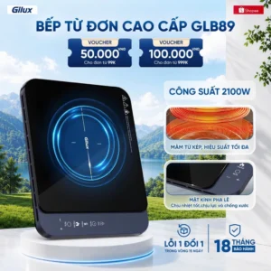 Bếp Từ Đơn Gilux GLB89